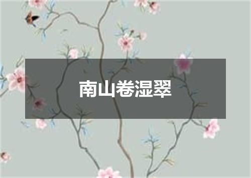 南山卷湿翠