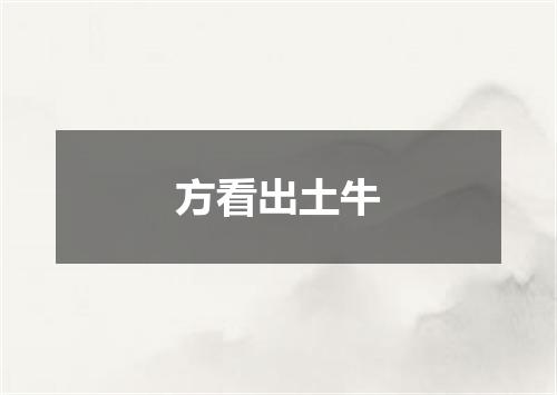 方看出土牛
