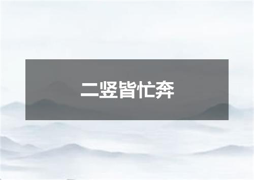 二竖皆忙奔
