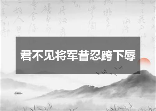 君不见将军昔忍跨下辱