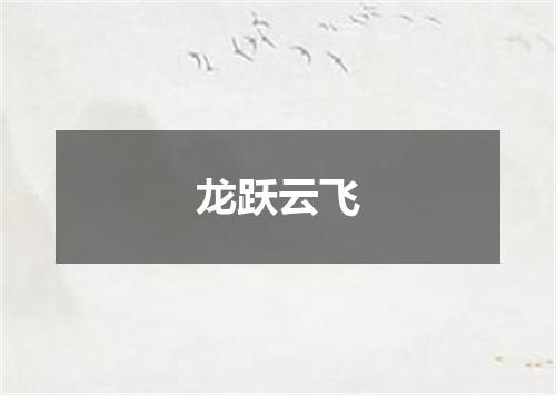 龙跃云飞