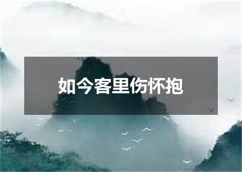 如今客里伤怀抱