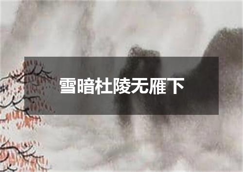 雪暗杜陵无雁下