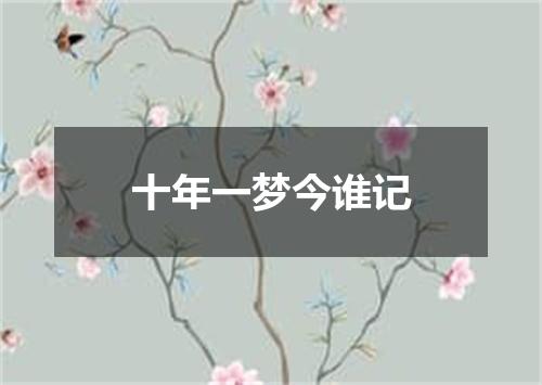 十年一梦今谁记
