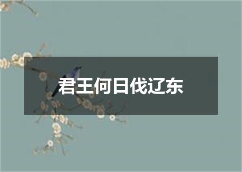 君王何日伐辽东