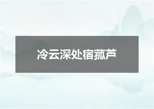 冷云深处宿菰芦