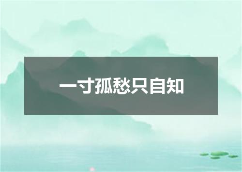 一寸孤愁只自知