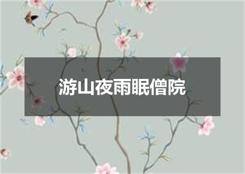 游山夜雨眠僧院