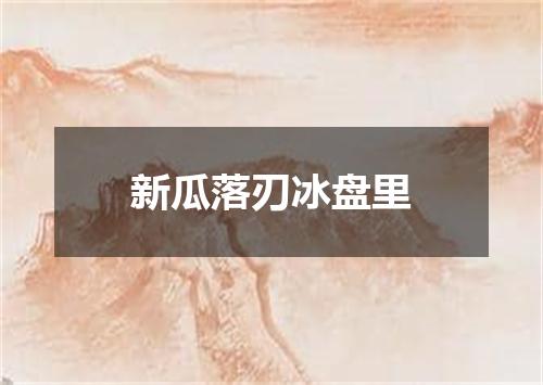 新瓜落刃冰盘里