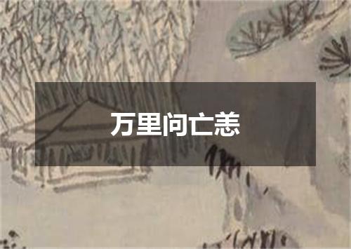 万里问亡恙