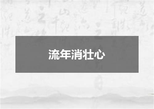 流年消壮心