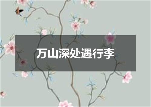 万山深处遇行李