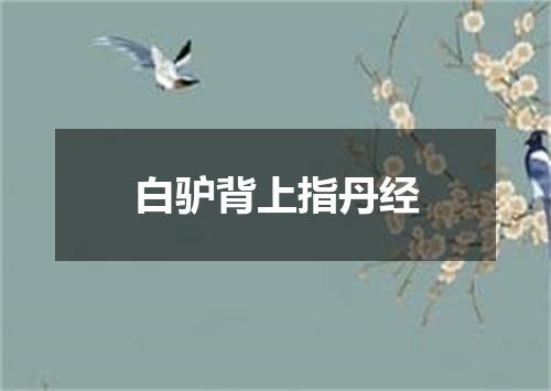 白驴背上指丹经