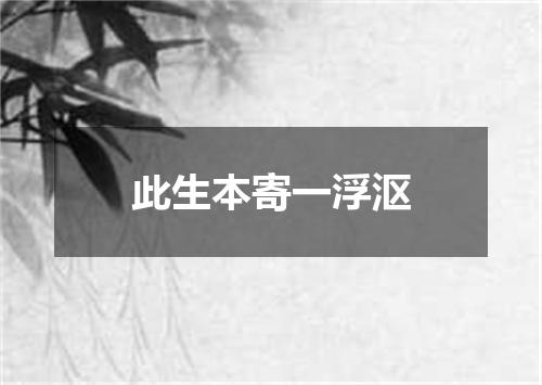 此生本寄一浮沤