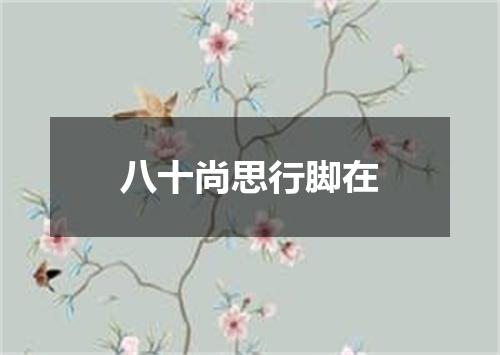 八十尚思行脚在