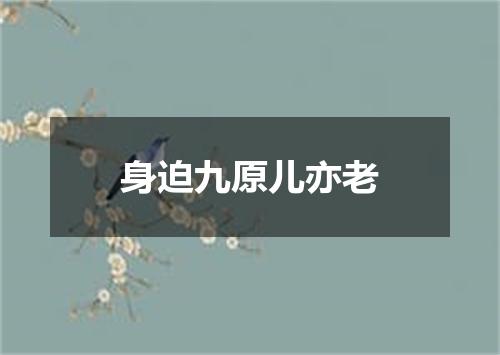 身迫九原儿亦老