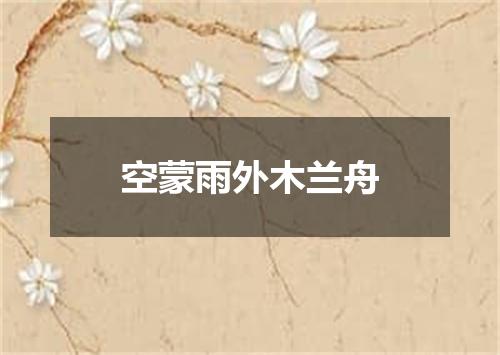 空蒙雨外木兰舟