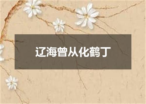 辽海曾从化鹤丁