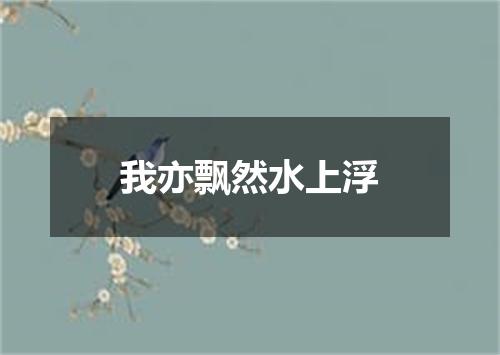 我亦飘然水上浮