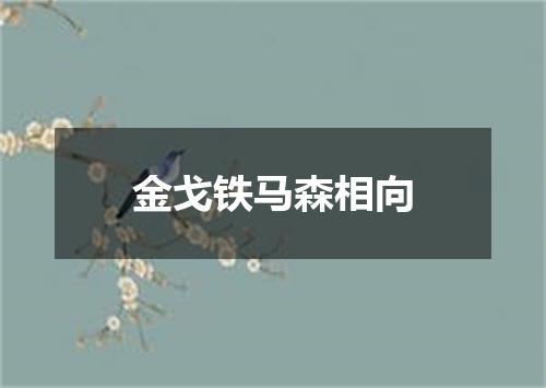 金戈铁马森相向