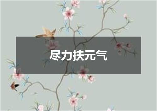 尽力扶元气