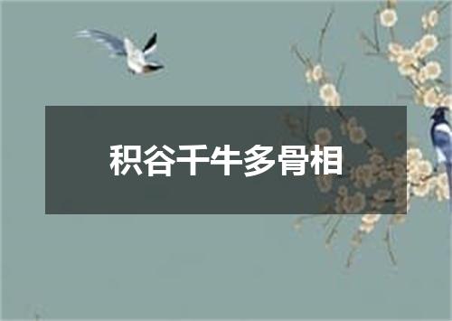 积谷千牛多骨相
