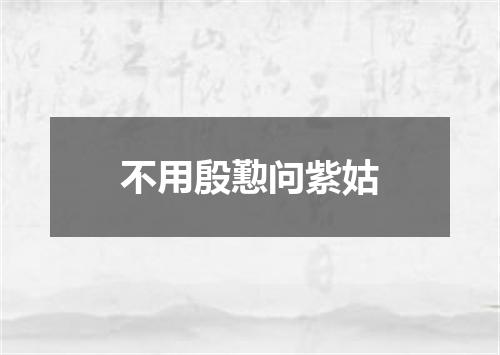 不用殷懃问紫姑