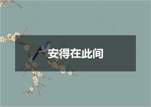 安得在此间