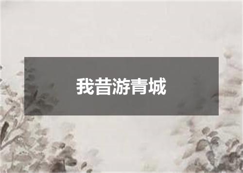 我昔游青城