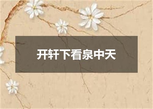 开轩下看泉中天