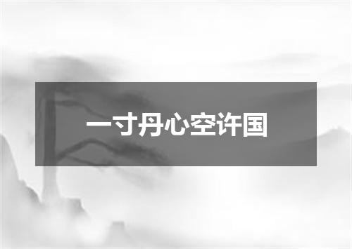一寸丹心空许国