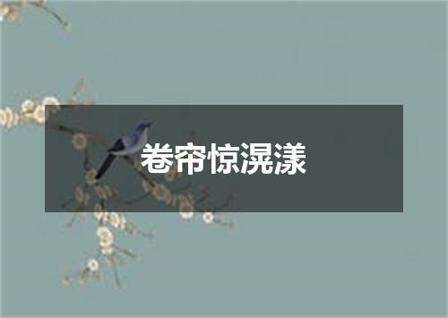 卷帘惊滉漾
