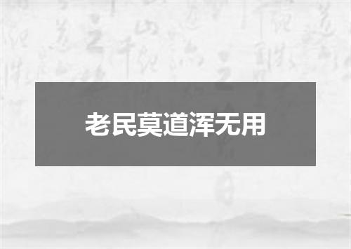 老民莫道浑无用
