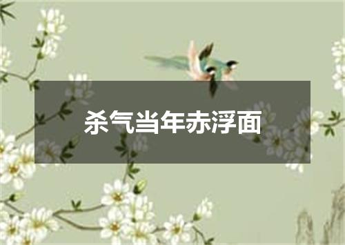 杀气当年赤浮面