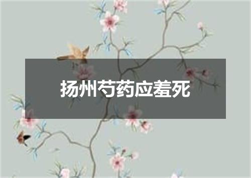 扬州芍药应羞死