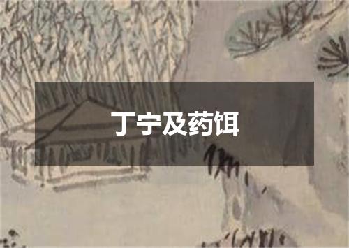丁宁及药饵