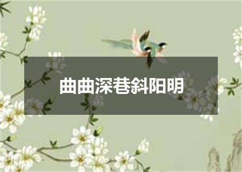 曲曲深巷斜阳明