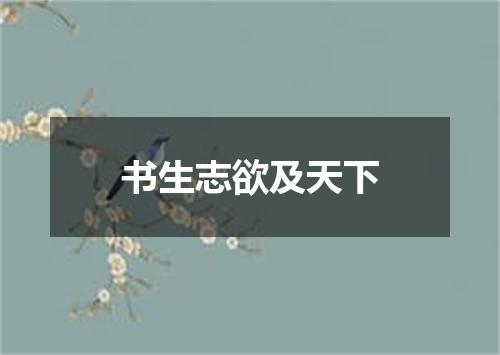 书生志欲及天下