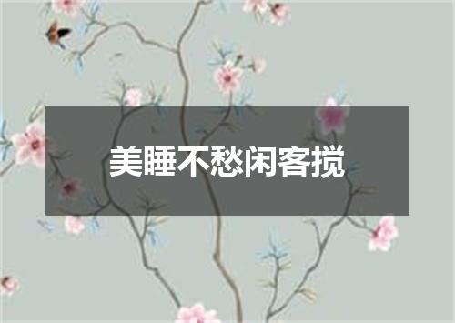美睡不愁闲客搅
