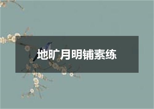 地旷月明铺素练