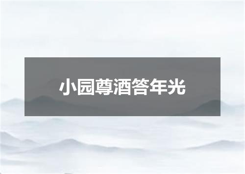 小园尊酒答年光