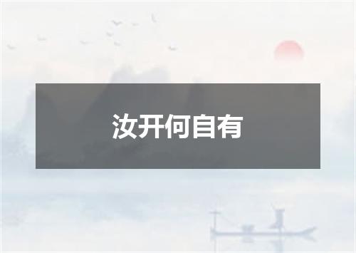 汝开何自有