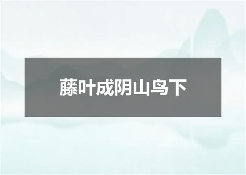 藤叶成阴山鸟下