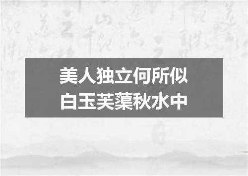 美人独立何所似白玉芙蕖秋水中