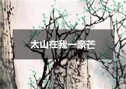 太山在我一豪芒