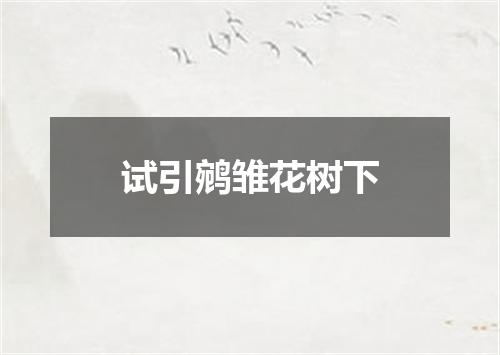 试引鹓雏花树下