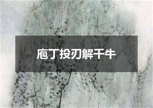 庖丁投刃解千牛