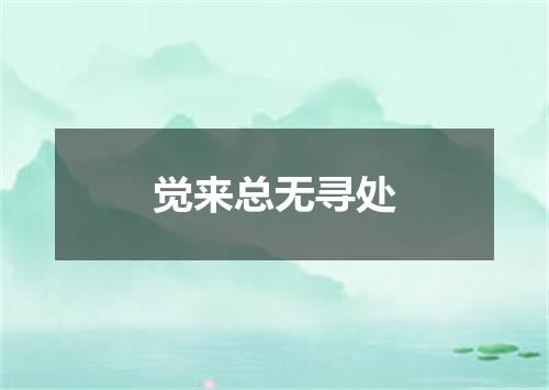 觉来总无寻处
