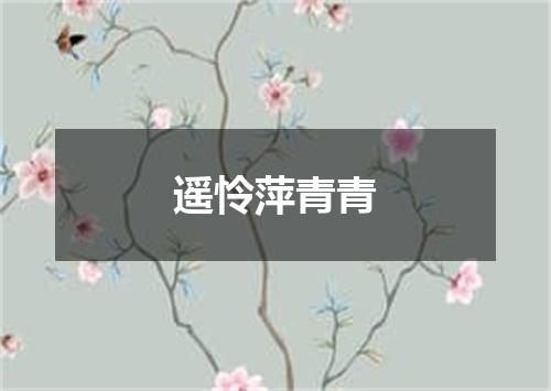 遥怜萍青青