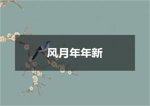 风月年年新